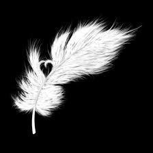 petite plume